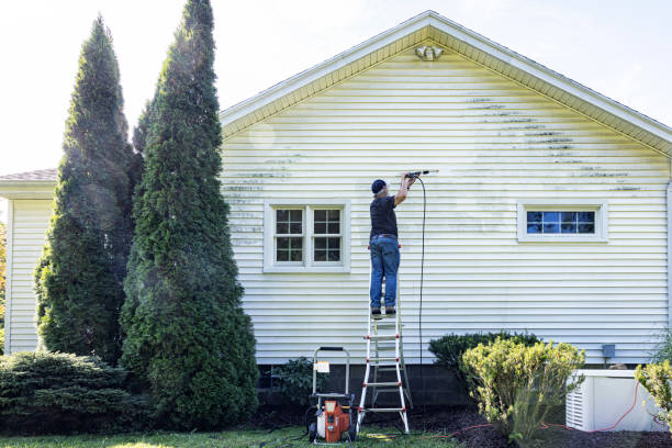 Deck Cleaning Services in Sneedville, TN