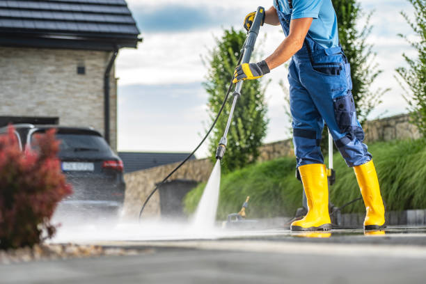 Best Roof Pressure Washing  in Sneedville, TN