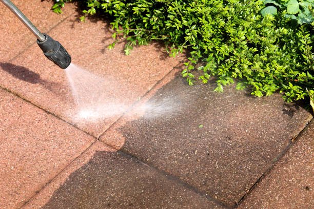 Best Affordable Power Washing  in Sneedville, TN